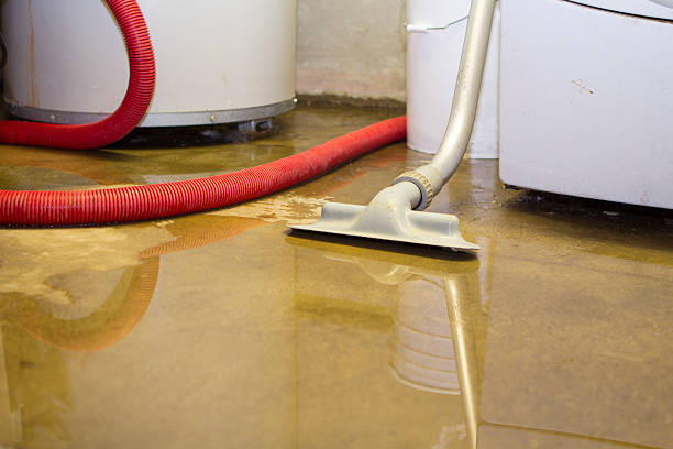 Best Flood damage cleanup  in Stanwood, WA