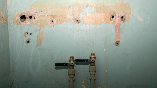 Best Water damage restoration near me  in Stanwood, WA