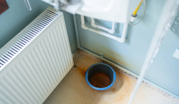 Best Mold removal after water damage  in Stanwood, WA