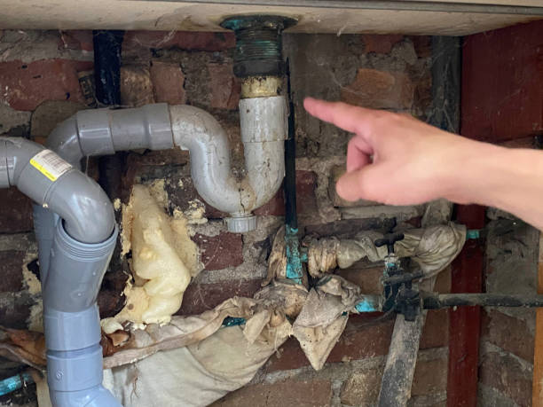 Best Fire Damage Restoration  in Stanwood, WA
