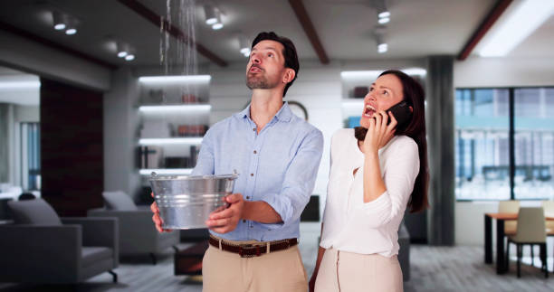 Best Professional water damage repair  in Stanwood, WA